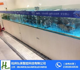 杭州飯店魚(yú)缸 弘英科技專業(yè)制作與技術(shù)咨詢指南